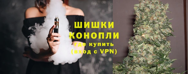 винт Бородино