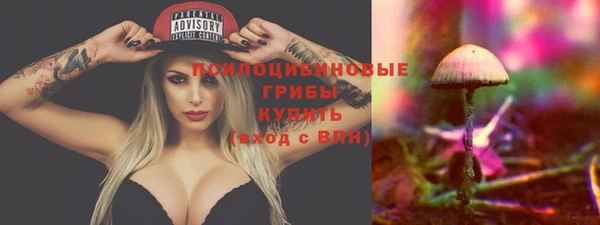 винт Бородино